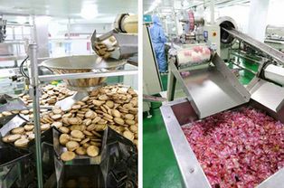 金正恩视察平壤食品厂，强调提升民生食品生产与质量